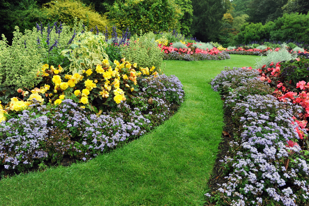 farbenfroher garten