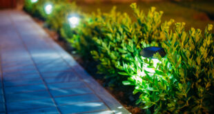 Solarleuchten für den Garten: Der umweltfreundliche Weg für die Außenbeleuchtung